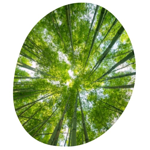 Centre de médecine douce et de bien-être